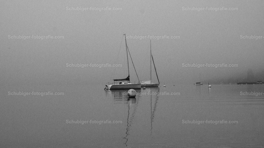 DSCF2302 | fotografie, Schubiger, Landschaftsfotografie, Tierfotografie, Industrie, Immobilien, Bilder, Poster, Kunst und KI - Realisiert mit Pictrs.com