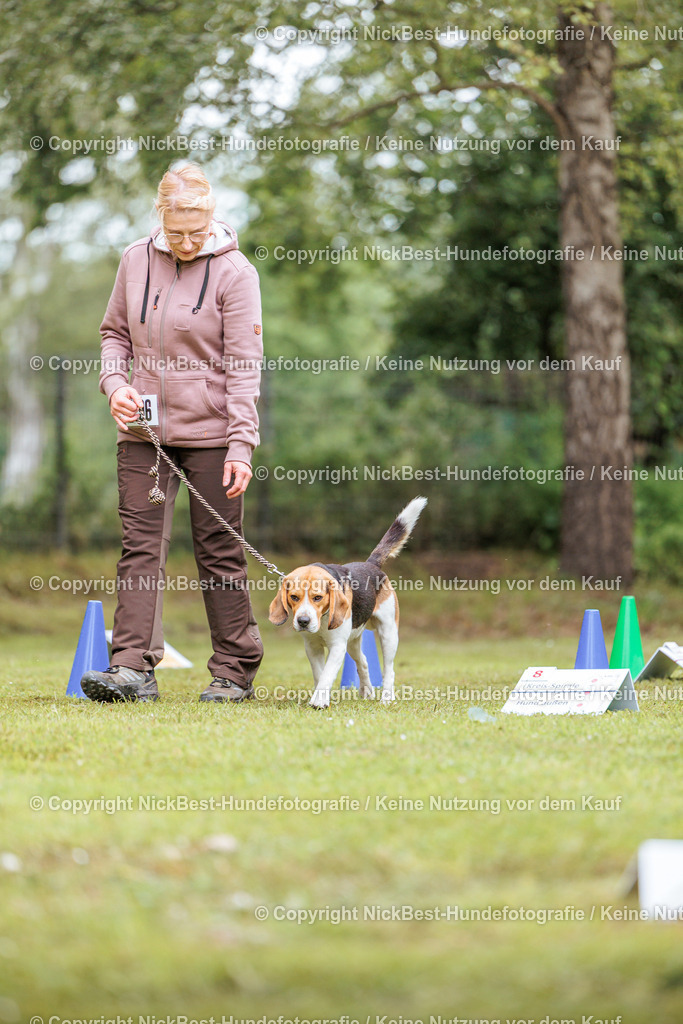 RO-Blumenthal-2026-Nickbest-Hundefotografie-4856 | Dein Hund! Dein Moment! Deine Erinnerungen! Hundefotografie in Bremen Blumenthal. Ich fange die besonderen Momente deines Vierbeiners ein – ob Indoor mit Blitzanlage oder in der freien Natur. Sicher dir dein Moment und dein Termin für eure Erinnerungen.