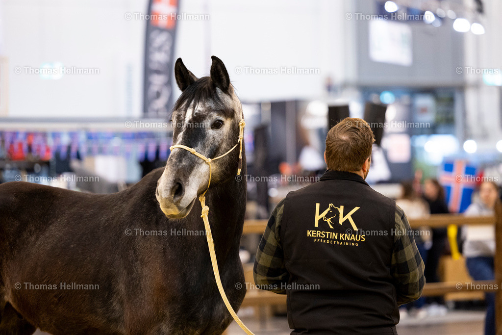 TH_Kerstin Knaus Pferdetraining_27319 | JulEQUITANA 2025 am 11.03.25 in Essen