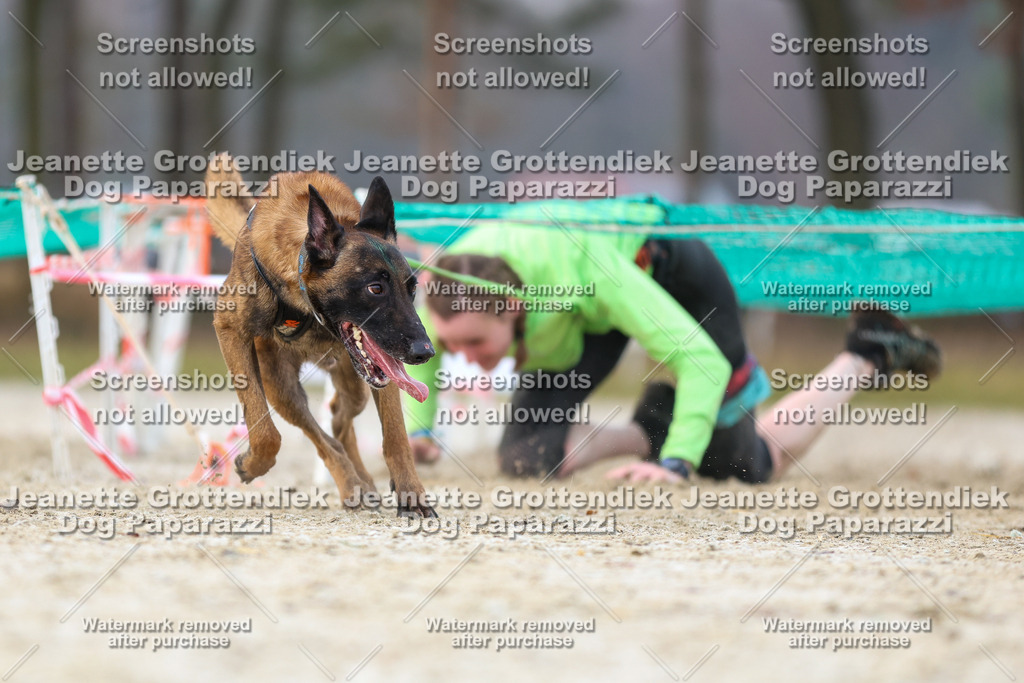 Dog Paparazzi - Strongdog North Mrz26-3936 | Dog Paparazzi Jeanette Grottendiek Fotografie & Videografie - Realisiert mit Pictrs.com