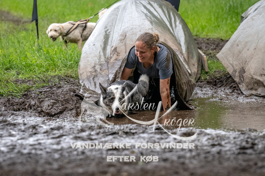 1553_ZZ90842-Bearbeitet | kk-dogfotos