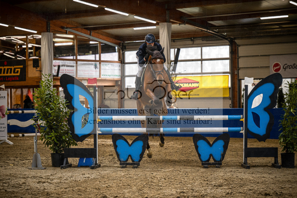 DOS_B1313 | Entdecke hochwertige Reitturnierfotos von Foto Oger. Professionell, emotional und authentisch – jetzt Lieblingsmomente im Shop bestellen.Deutschlandweite Turnierfotografie. - Realisiert mit Pictrs.com