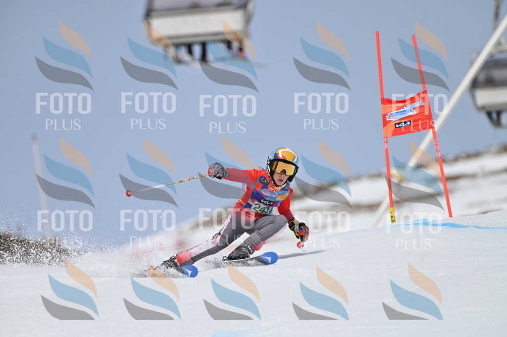 BGV_4809 | holidayphoto