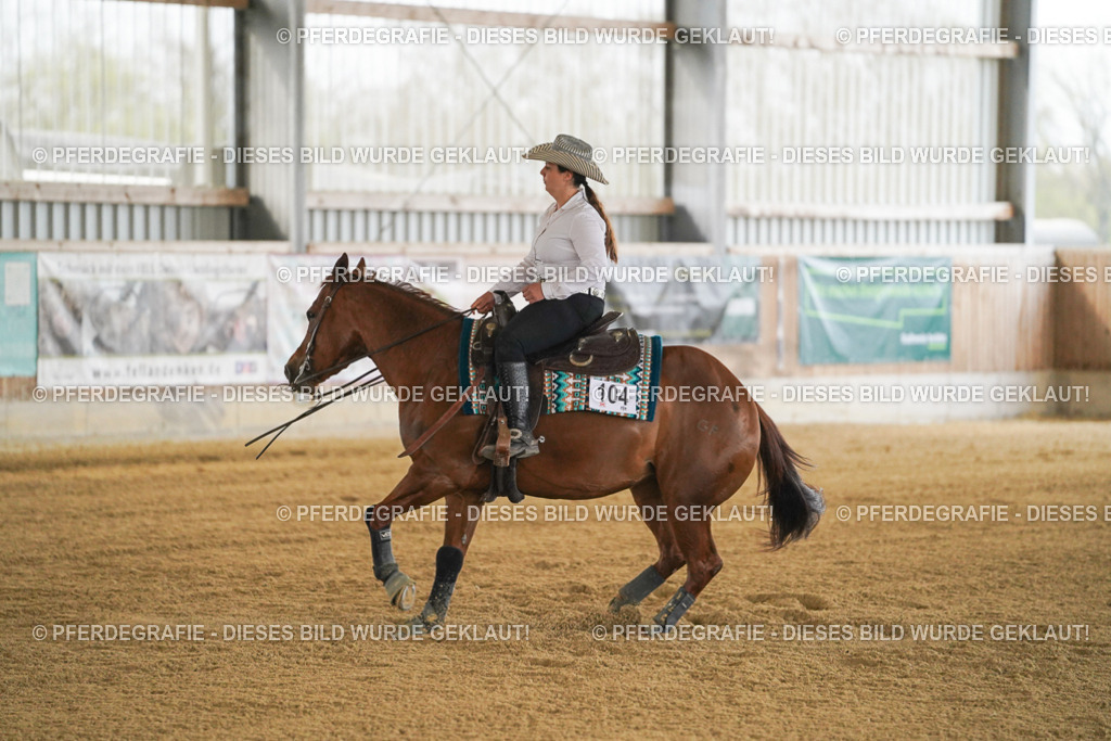 DSC07869 | Pferdegrafie