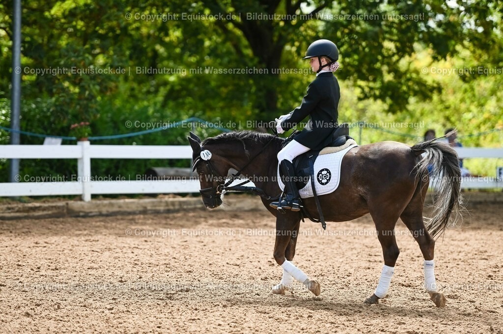 20230716_10-3_Reiter-WB Schritt - Trab - Galopp_0064 | equistock