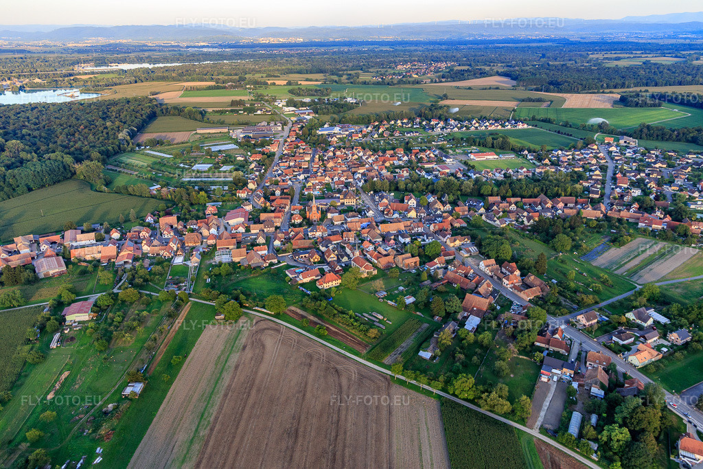 Vue aérienne: Vue de la ville depuis l'ouest à Obenheim dans le département Bas Rhin, France – .Photo: IMG_137919.jpg prise le 18/08/2023 par Werner Riehm/FLY-FOTO.eu – Résolution de l'original: 5472 x 3648 px