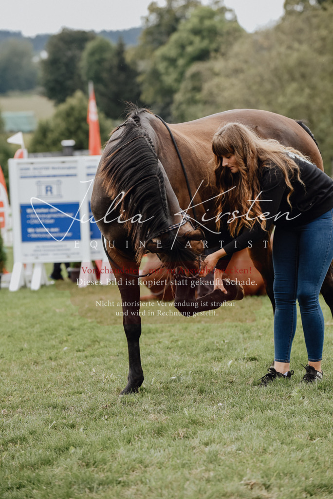 DSC_3987 | Pferde- und Turnierfotografie in Westsachsen. Pferdeportraits, Auftragszeichnungen und intuitive Kunst.