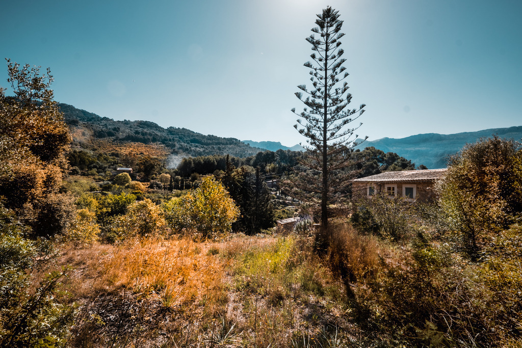 XT4S5346 | Hier können sie in meinen Fotos stöbern, sie erwerben oder ihr Shooting herunterladen. Wenns ihnen gefällt und sie ein Shooting buchen wollen, schreiben sie mich an. - Realisiert mit Pictrs.com