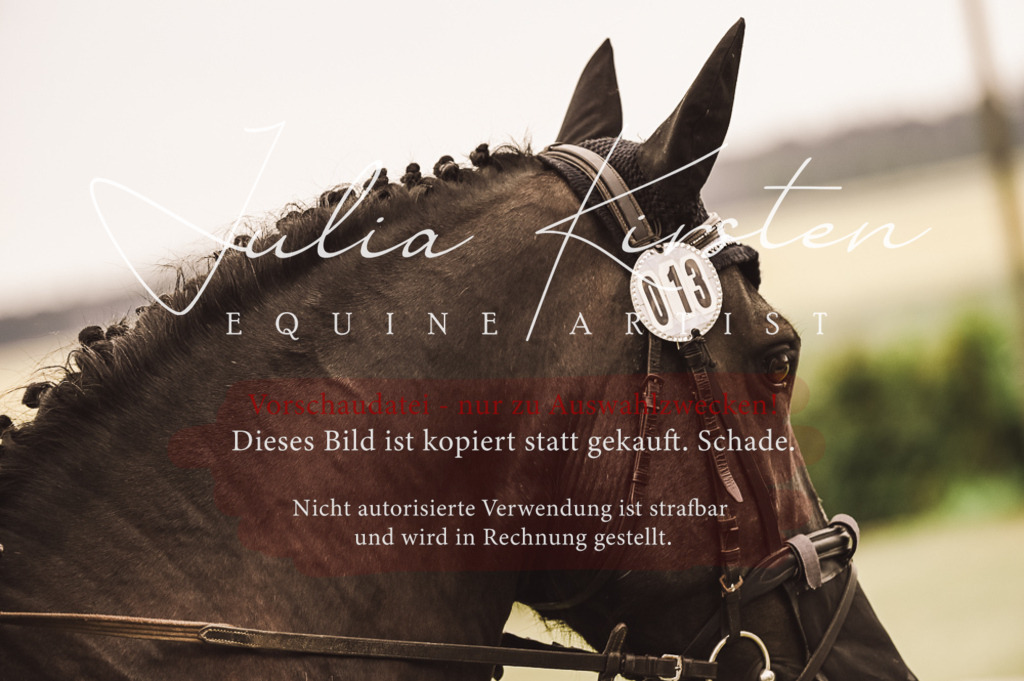 DSC_4985 | Pferde- und Turnierfotografie in Westsachsen. Pferdeportraits, Auftragszeichnungen und intuitive Kunst.