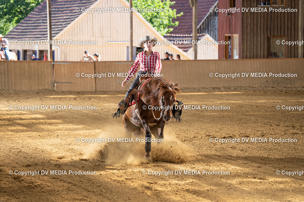 DSC00114 | dv-media-shop - Realisiert mit Pictrs.com