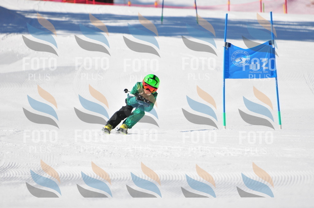 C2203 | holidayphoto