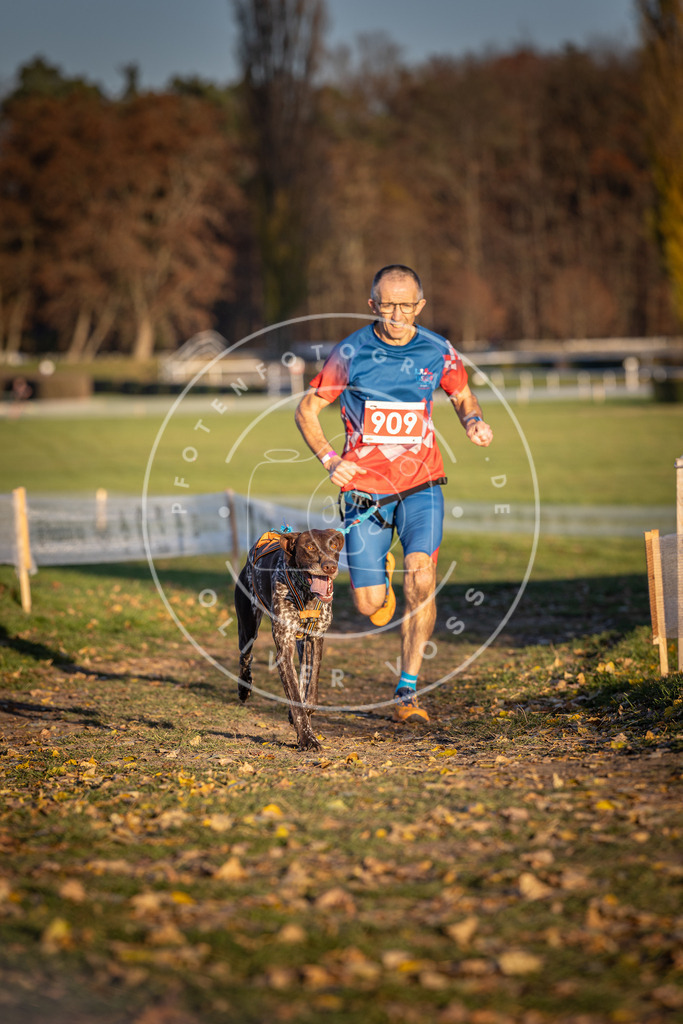 CaniXpix_DV3A4673 | Hundefotografie, Tierfotograf, Pfotenfotografie, Fotoshooting Hund, Hunde Portrait, Hundesport, Hundeportraits, Heideshooting, Hunde, Sportfotograf, Hundefotograf, Turnierhundsport, THS,  - Realisiert mit Pictrs.com