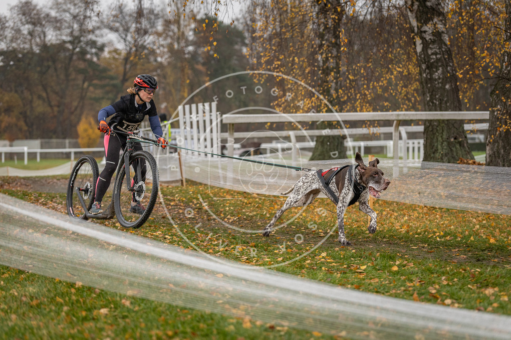 CaniXpix_DV3A8531 | Hundefotografie, Tierfotograf, Pfotenfotografie, Fotoshooting Hund, Hunde Portrait, Hundesport, Hundeportraits, Heideshooting, Hunde, Sportfotograf, Hundefotograf, Turnierhundsport, THS,  - Realisiert mit Pictrs.com