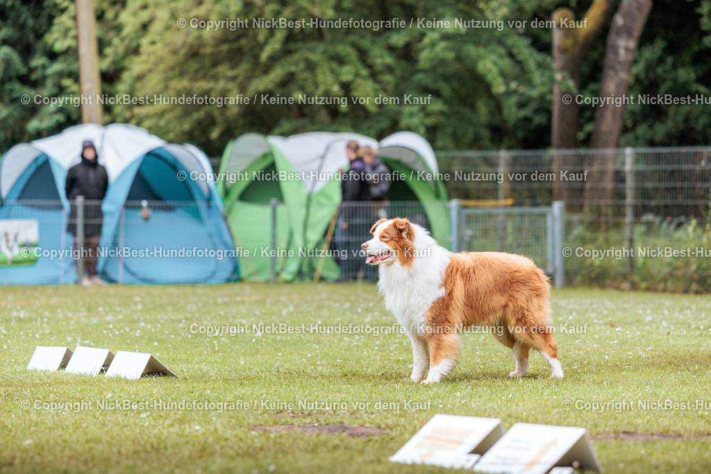 RO-Blumenthal-2026-Nickbest-Hundefotografie-3772 | Dein Hund! Dein Moment! Deine Erinnerungen! Hundefotografie in Bremen Blumenthal. Ich fange die besonderen Momente deines Vierbeiners ein – ob Indoor mit Blitzanlage oder in der freien Natur. Sicher dir dein Moment und dein Termin für eure Erinnerungen.