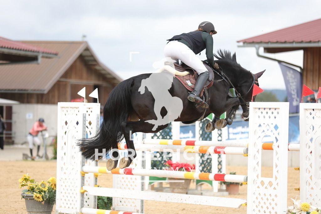 0P6A5215 | Willkommen bei Brunnmayr - Design & Fotografie – Ihrem Spezialisten für Reitturniere und Pferdeveranstaltungen in Oberösterreich, Salzburg und Bayern! Seit über 17 Jahren sind wir leidenschaftlich dabei.