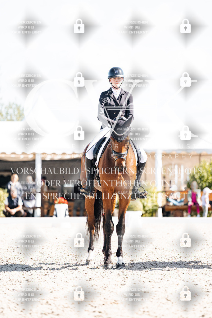 CK902896 | Turnierfotografie Pferdefotografie Trier Rheinland-Pfalz Pferdesport Reitsport Tierfotografie Sportfotografie Pferdevideo Pferdevideografie Equestrianvideography equestrianphotography  - Realisiert mit Pictrs.com