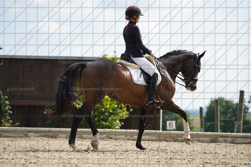 20230826-FAH05981 | Forstinning, 2023, Dressurturnier, Turniersportbilder, Turnierfotografen Bayern, Fotoagentur Herrmann, Reitsportfotografie, Turnierbilder