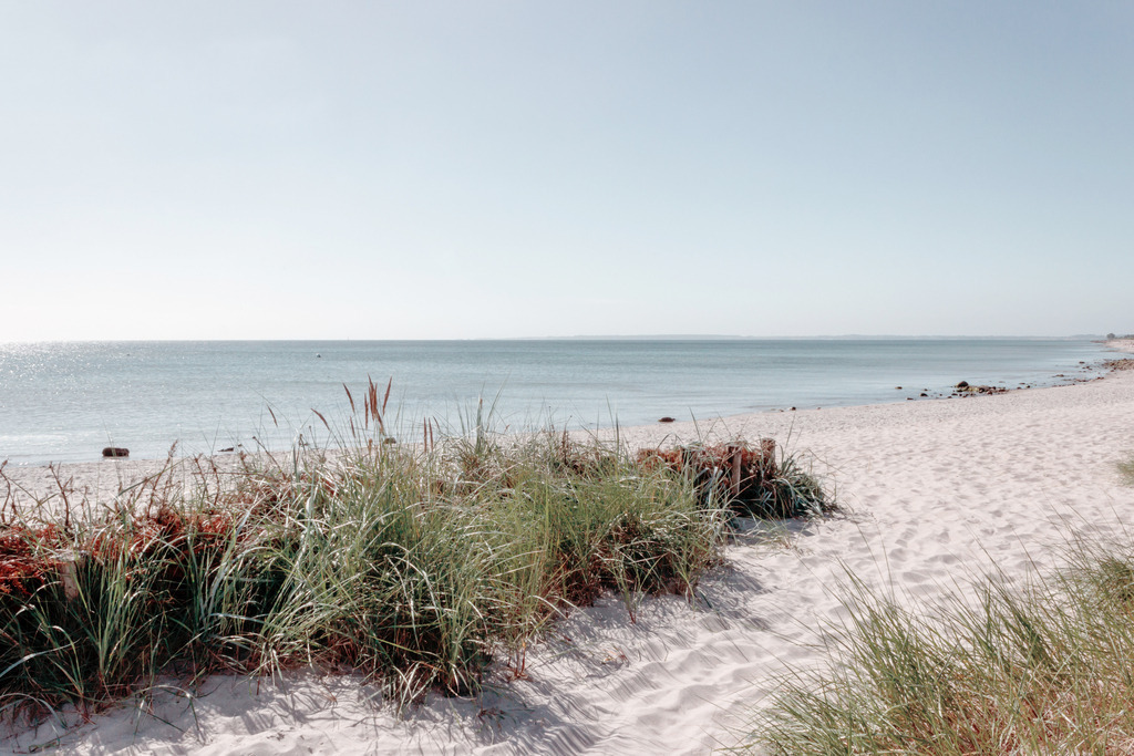 Wandbild: Frühling am Meer in dezenten Farben | Dieses Wandbild im Querformat zeigt einen traumhaften Sandstrand im Frühling. Im Vordergrund ist wunderschöner weißer Sand und grüner Strandhafer zu sehen. Der Himmel leuchtet in einem pastellartigen blau. Holen Sie sich dieses traumhafte Strandmotiv auf Leinwand, Alu-Dibond oder Acrylglas. Ideal fürs Wohnzimmer, Schlafzimmer, Küche, den Arbeitsplatz oder die Ferienwohnung.   - Realisiert mit Pictrs.com