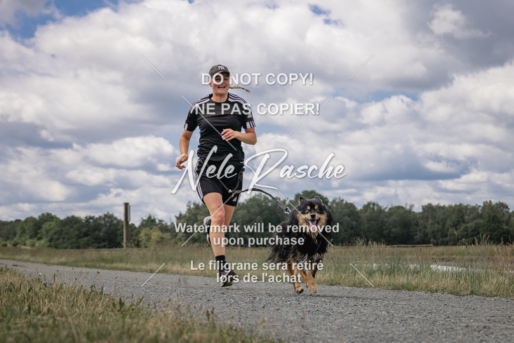nelerasche_BuHu2026_SaCC1100-1200_128 | nelerasche