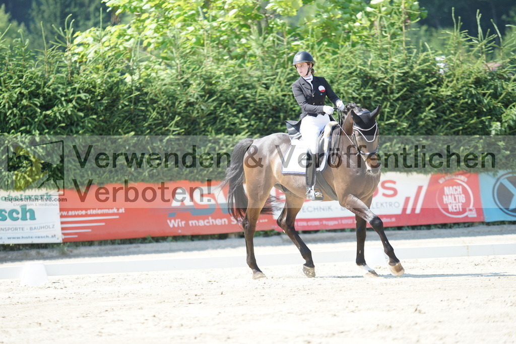 DSC02342 | equestrian-live-com
