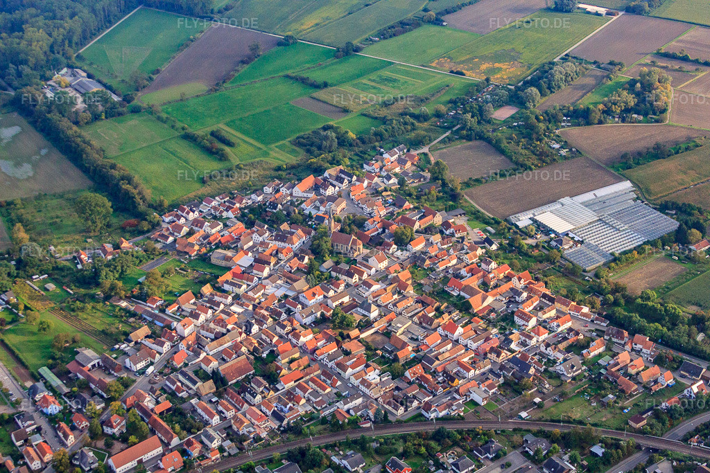 Luftbild: Ortsansicht von Nordwesten im Ortsteil Sondernheim in Germersheim im Bundesland Rheinland-Pfalz in Deutschland. Foto: IMG_60169.jpg vom 08.10.2013 durch Werner Riehm/FLY-FOTO.de