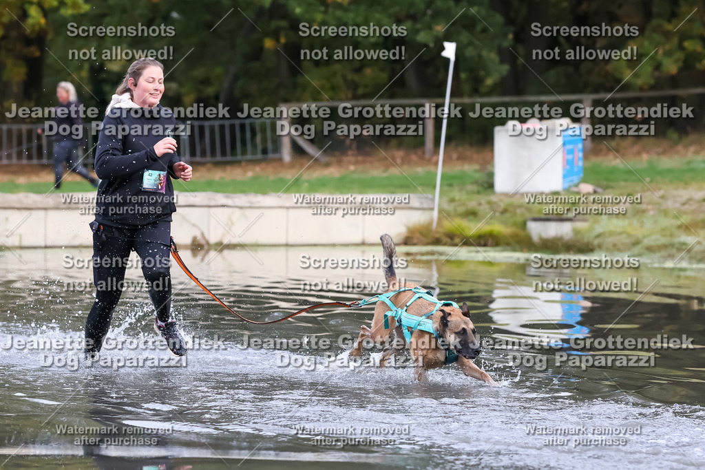 Dog Paparazzi - Strongdog 10-25-6577 | Dog Paparazzi Jeanette Grottendiek Fotografie & Videografie - Realisiert mit Pictrs.com