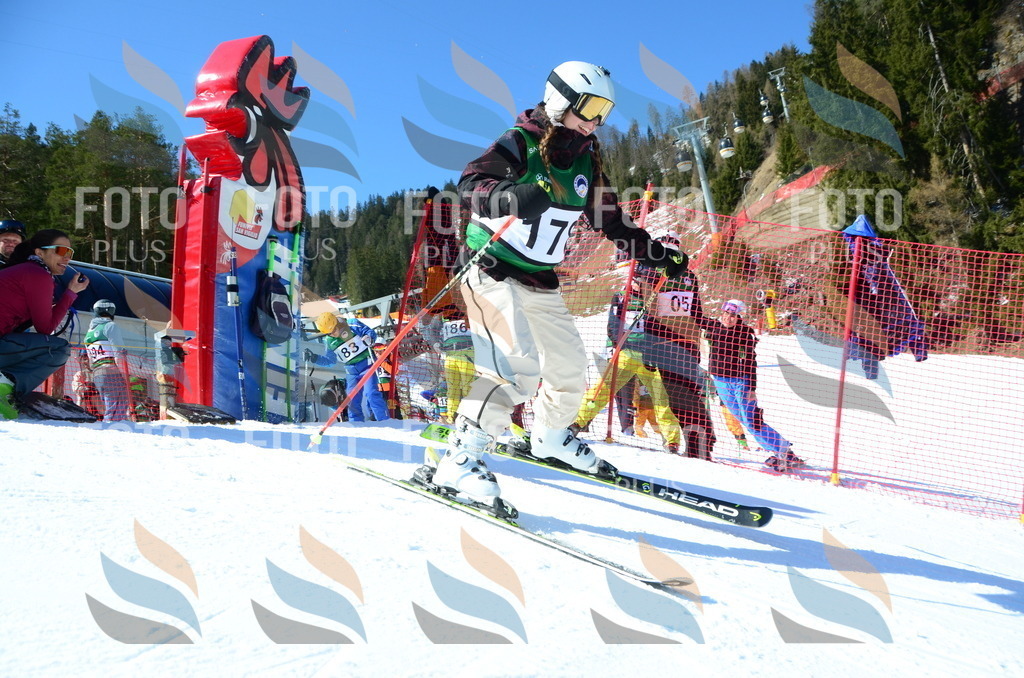 C6370 | holidayphoto