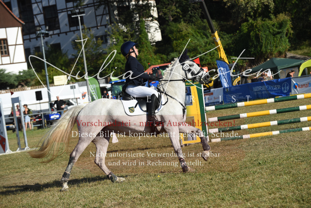 DSC_5321 | Pferde- und Turnierfotografie in Westsachsen. Pferdeportraits, Auftragszeichnungen und intuitive Kunst.