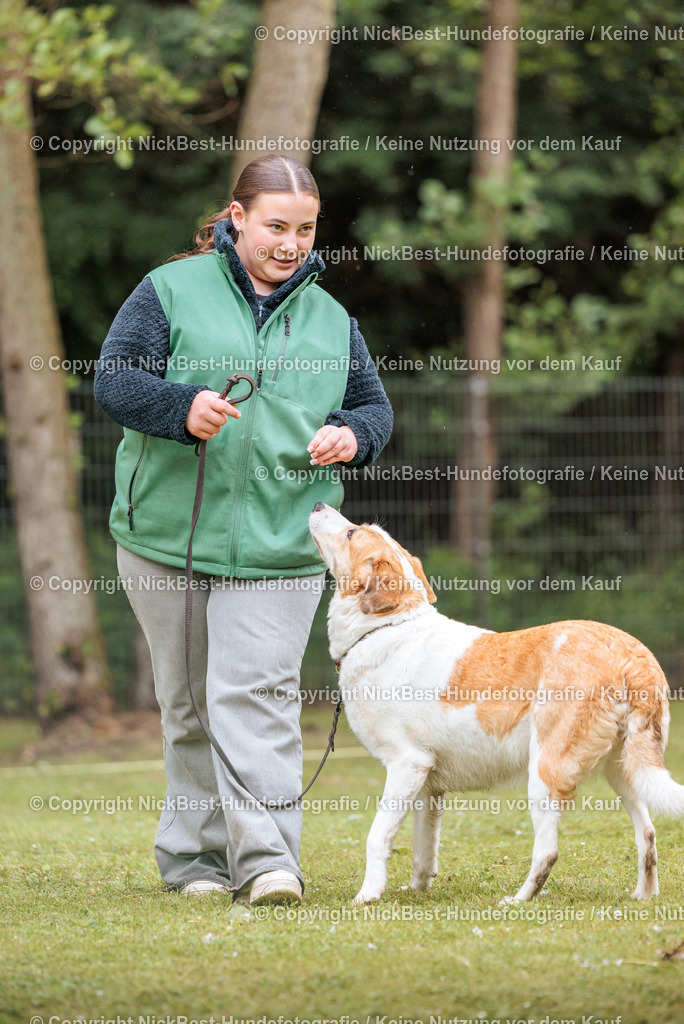 RO-Blumenthal-2026-Nickbest-Hundefotografie-4095 | Dein Hund! Dein Moment! Deine Erinnerungen! Hundefotografie in Bremen Blumenthal. Ich fange die besonderen Momente deines Vierbeiners ein – ob Indoor mit Blitzanlage oder in der freien Natur. Sicher dir dein Moment und dein Termin für eure Erinnerungen.