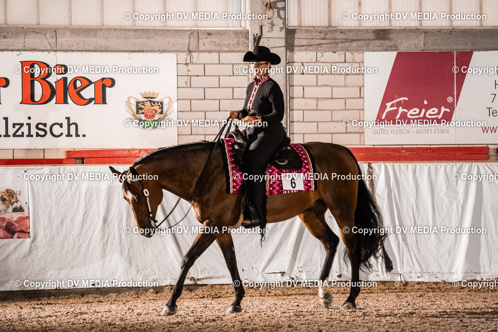 ZH300041 | dv-media-shop - Realisiert mit Pictrs.com