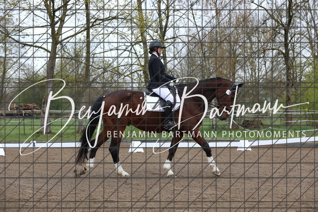 AZ2A3991 | Benjamin Bartmann Photomoments