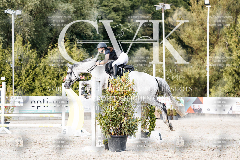 CK904019 | Turnierfotografie Pferdefotografie Trier Rheinland-Pfalz Pferdesport Reitsport Tierfotografie Sportfotografie Pferdevideo Pferdevideografie Equestrianvideography equestrianphotography  - Realisiert mit Pictrs.com