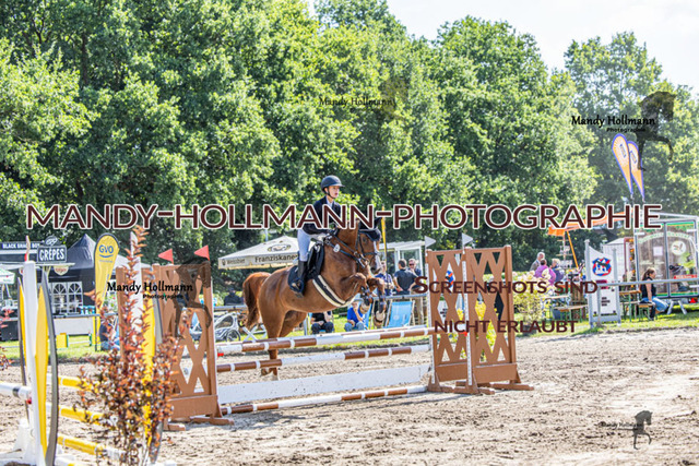  16.8  SP 26-2 SPR A+ (94 von 422) | mandyhollmannphotographie