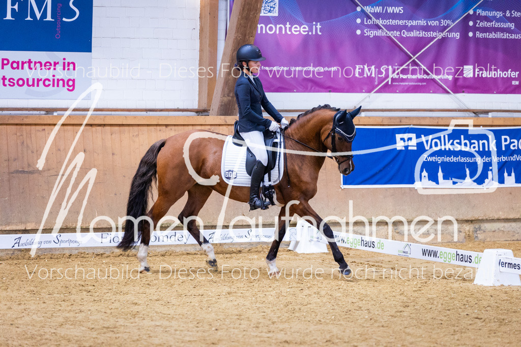 Sth-A-Dre-1St-275 | MomenTaufnahmen Pferdesportfotos