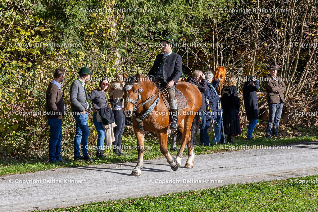 LBT24-959 | foto-bettina-krinner - Realisiert mit Pictrs.com