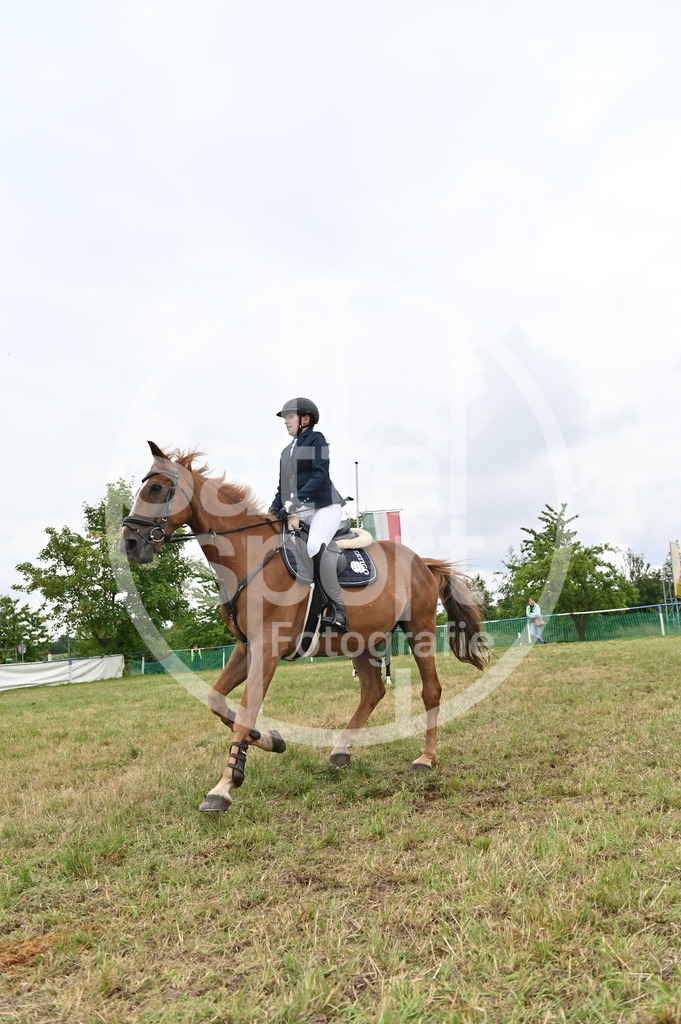 DSC_3172 | sattelsport - Realisiert mit Pictrs.com