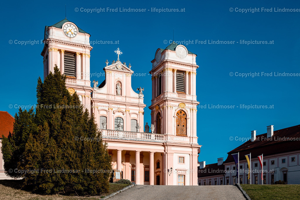 Wachau Marillenbluete 22032023-7559 | Fotos und Fotoprodukte - Realisiert mit Pictrs.com