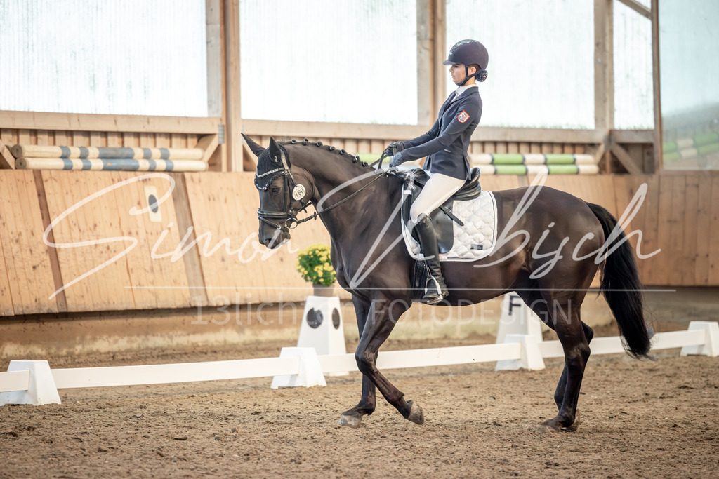 20251011-_3LI6469 | Tierfotografie Pferde, Hunde, Katzen, Haustiere.
Turnierfotografie Reitturniere, Reiten, Springreiten, Dressur in Hanau, dem Main-Kinzig-Kreis und dem Rhein-Main- Gebiet um Frankfurt