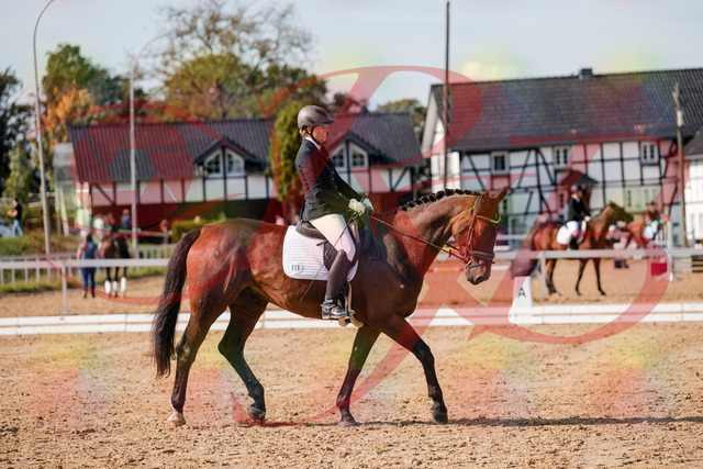 2026_10_03_Siefer-Hof_130438_Z63_67458945 | Professionelle Reitsport-, Turnier- und Eventfotografie von Robert Broda. Galerien mit ausgewählten und bearbeiteten Bildern direkt online ansehen und bestellen.