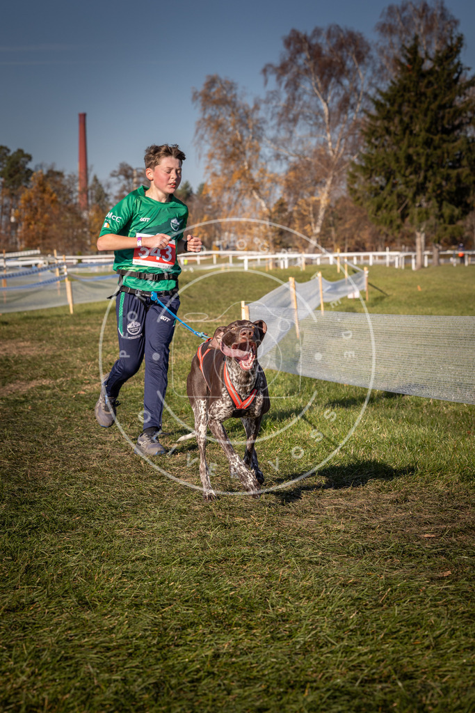 CaniXpix_0L8A7575 | Hundefotografie, Tierfotograf, Pfotenfotografie, Fotoshooting Hund, Hunde Portrait, Hundesport, Hundeportraits, Heideshooting, Hunde, Sportfotograf, Hundefotograf, Turnierhundsport, THS,  - Realisiert mit Pictrs.com