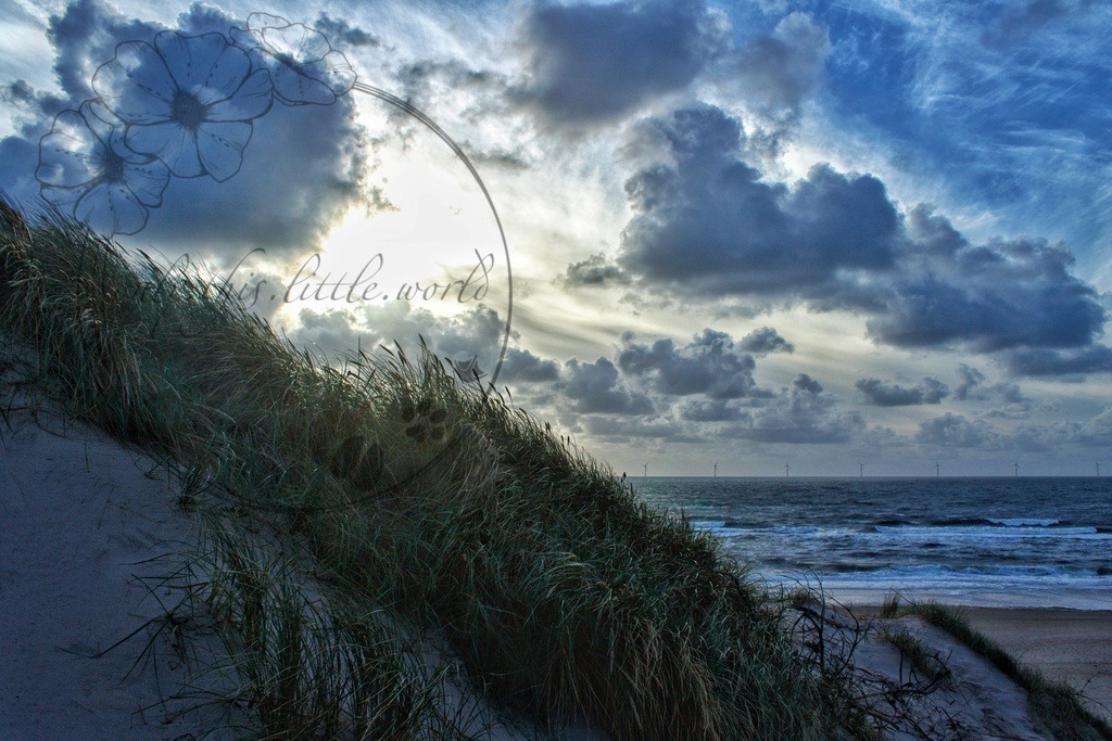 IMG_0026-01 | only.this.little.world - Realisiert mit Pictrs.com