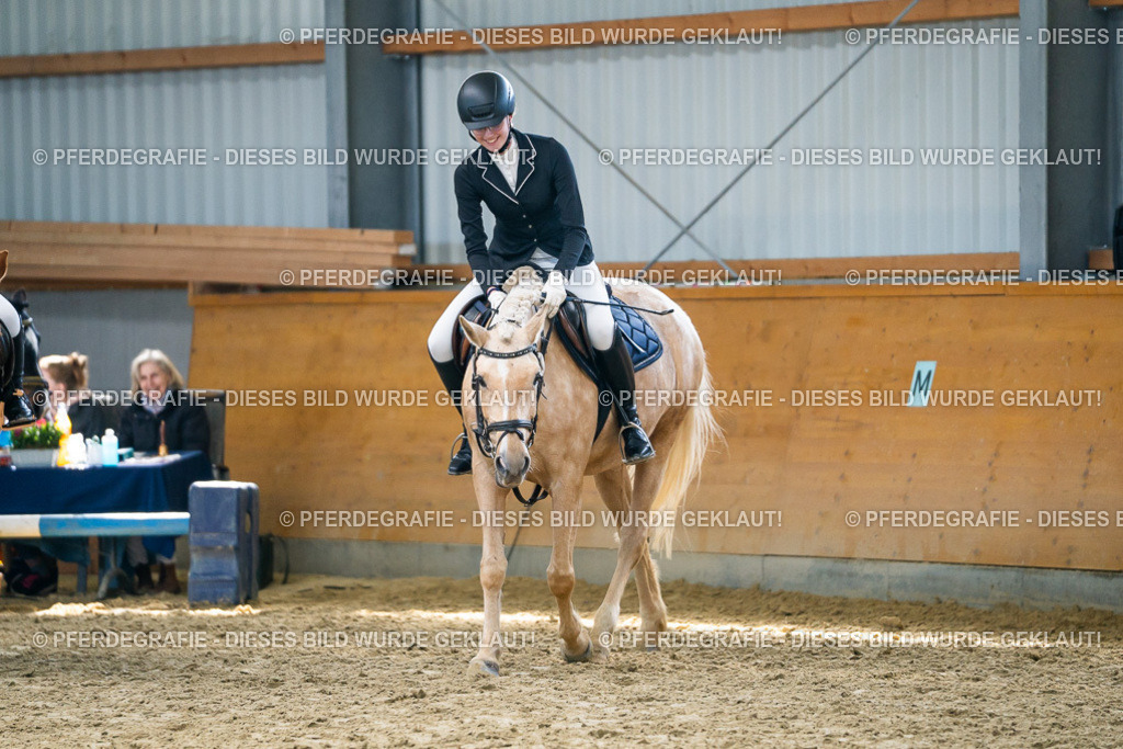 DSC01879 | Pferdegrafie