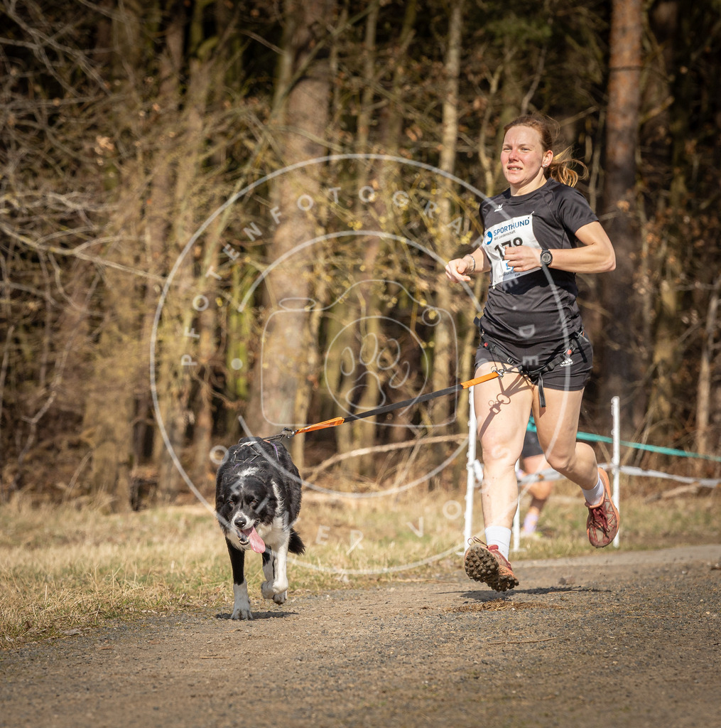 DV3A5708 | Hundefotografie, Tierfotograf, Pfotenfotografie, Fotoshooting Hund, Hunde Portrait, Hundesport, Hundeportraits, Heideshooting, Hunde, Sportfotograf, Hundefotograf, Turnierhundsport, THS,  - Realisiert mit Pictrs.com