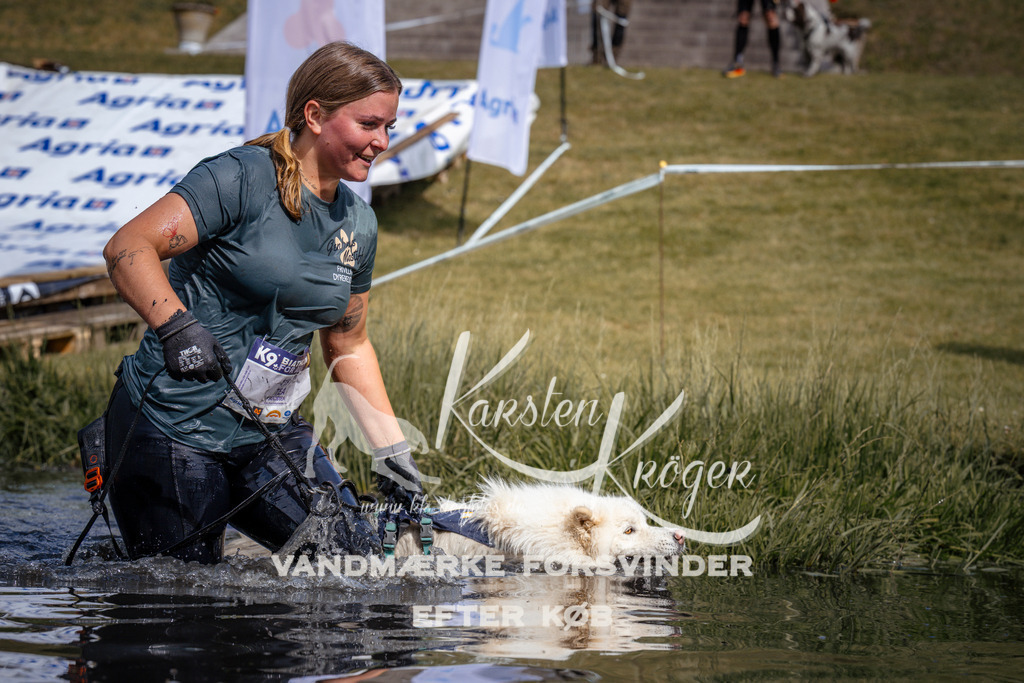 _ZZ905410900 | kk-dogfotos