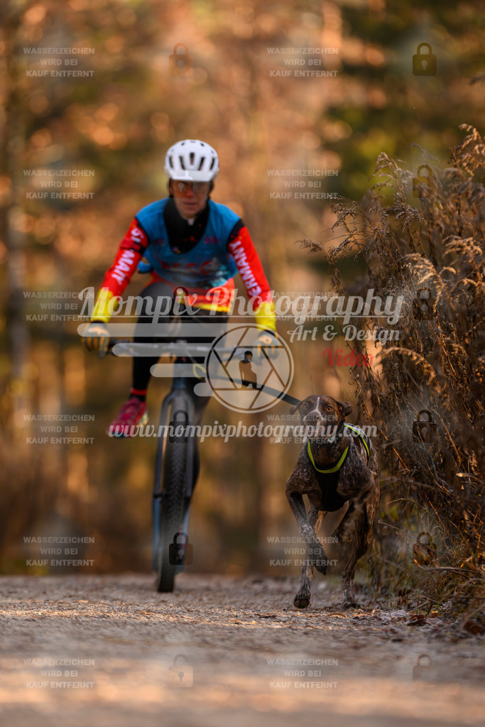 MompixPhotography_DM_AKDM_SO_2025_Scooter-102 | PayLife