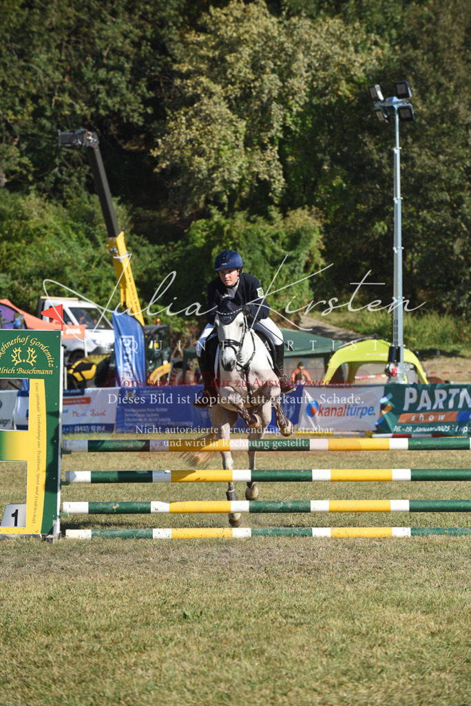 DSC_5316 | Pferde- und Turnierfotografie in Westsachsen. Pferdeportraits, Auftragszeichnungen und intuitive Kunst.
