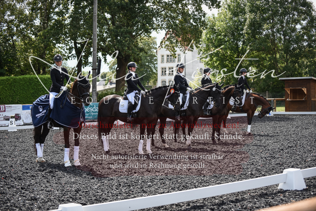 DSC_5158 | Pferde- und Turnierfotografie in Westsachsen. Pferdeportraits, Auftragszeichnungen und intuitive Kunst.
