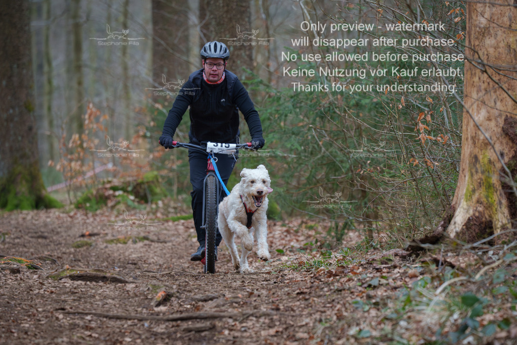 Scooter_So-124 | stephaniefillaphotographie - Realisiert mit Pictrs.com