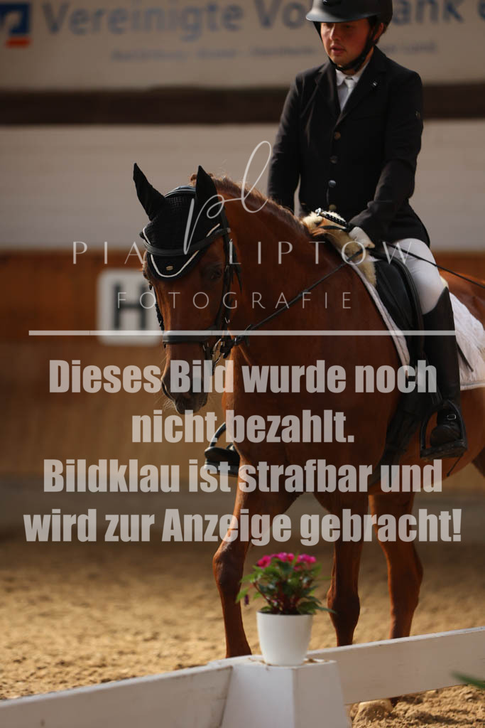 IMGS1065 | pl-fotografie