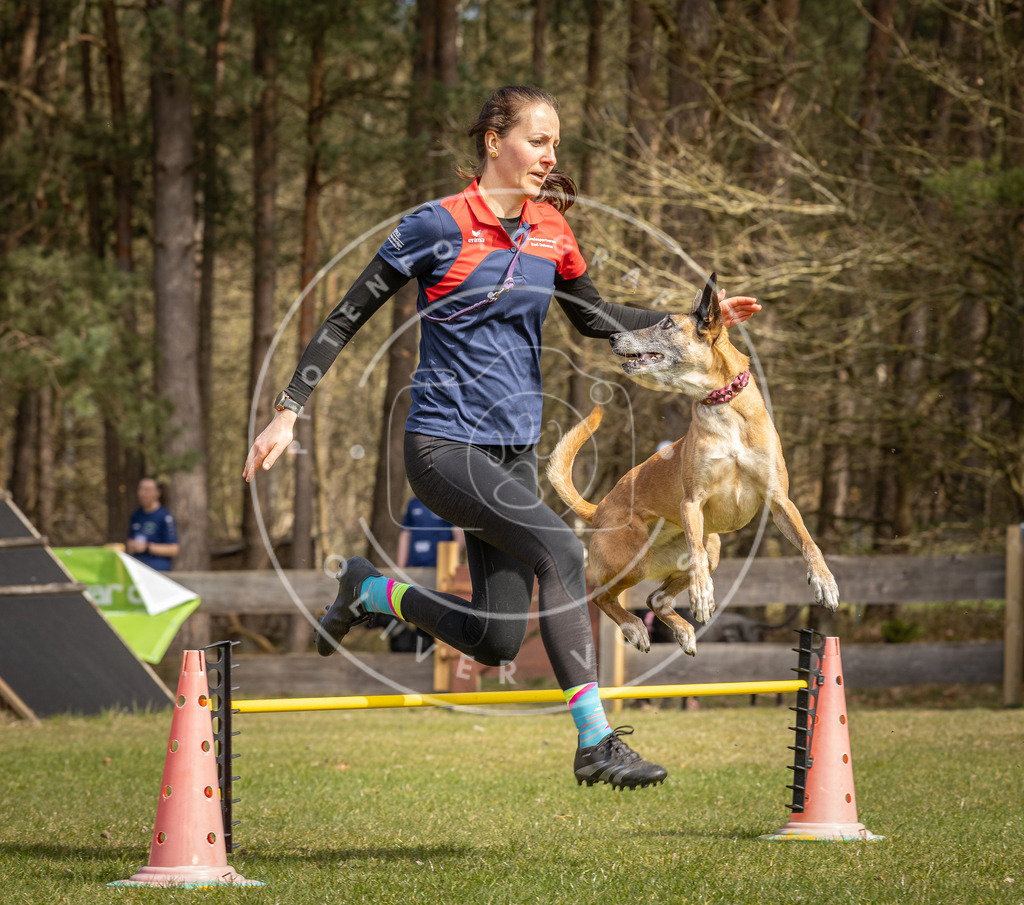 Pfotenfotografie_DV3A6416 | Hundefotografie, Tierfotograf, Pfotenfotografie, Fotoshooting Hund, Hunde Portrait, Hundesport, Hundeportraits, Heideshooting, Hunde, Sportfotograf, Hundefotograf, Turnierhundsport, THS,  - Realisiert mit Pictrs.com